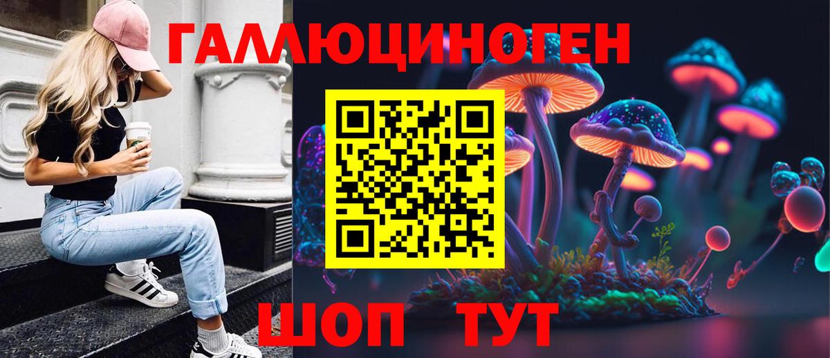 Вышний Волочёк  Псилоцибиновые грибы GOLDEN TEACHER  Вход с VPN 