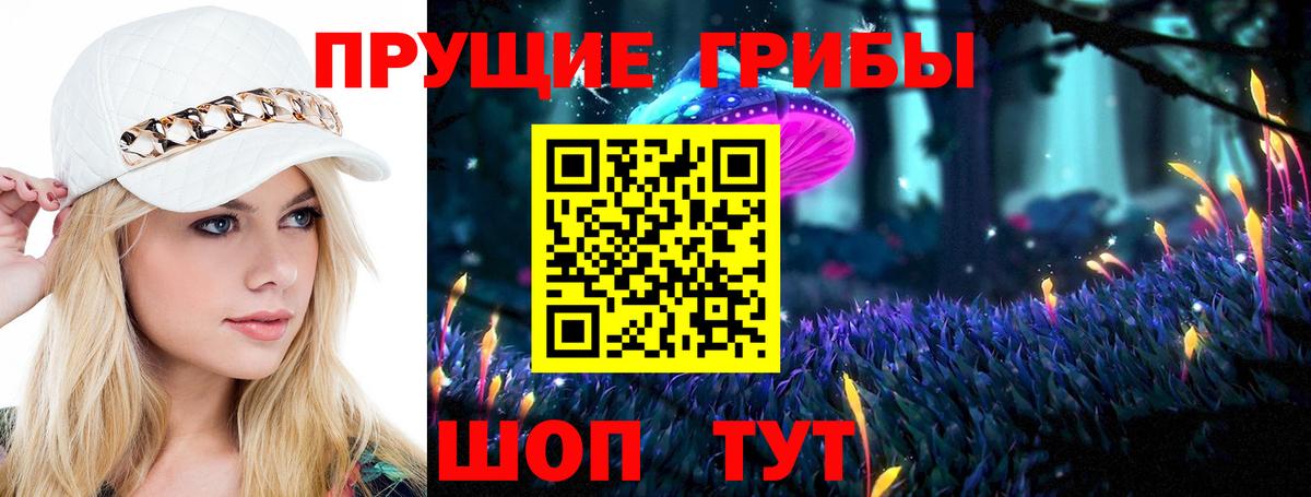 Галлюциногенные грибы мухоморы Вышний Волочёк